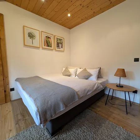 Hartl Apartman Filzmoos